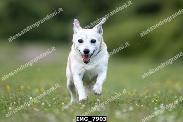 IMG_7903.jpg