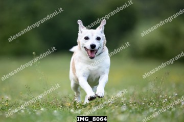 IMG_8064.jpg