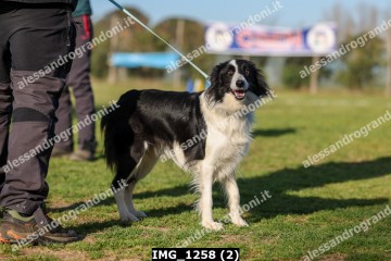 IMG_1258 (2).jpg