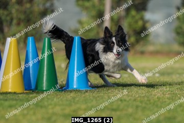IMG_1265 (2).jpg