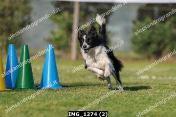 IMG_1274 (2).jpg