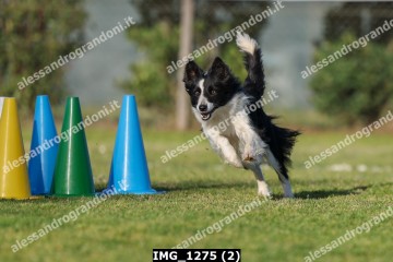 IMG_1275 (2).jpg