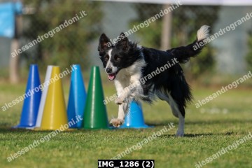 IMG_1286 (2).jpg
