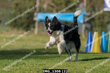 IMG_1306 (2).jpg