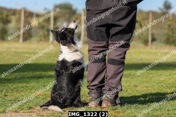 IMG_1322 (2).jpg