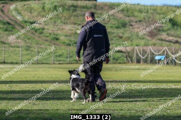 IMG_1333 (2).jpg