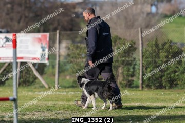 IMG_1352 (2).jpg