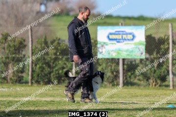 IMG_1374 (2).jpg