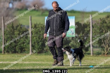 IMG_1395 (2).jpg