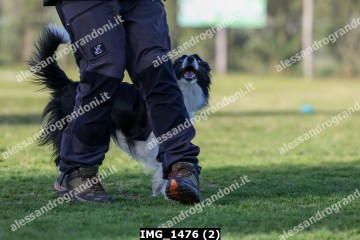 IMG_1476 (2).jpg