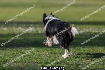 IMG_1497 (2).jpg