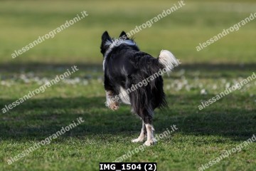 IMG_1504 (2).jpg
