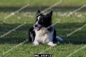 IMG_1519 (2).jpg