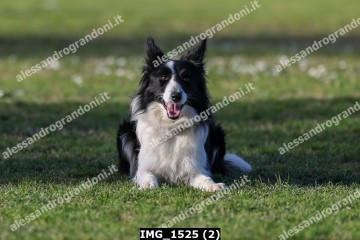 IMG_1525 (2).jpg
