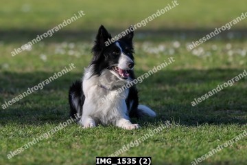 IMG_1535 (2).jpg