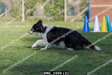 IMG_1555 (2).jpg