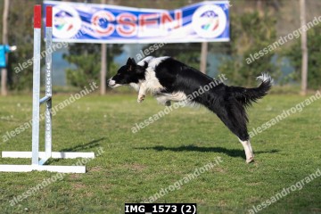 IMG_1573 (2).jpg