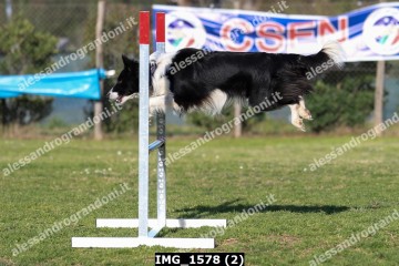 IMG_1578 (2).jpg