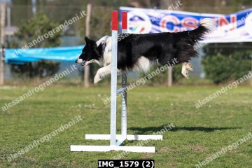 IMG_1579 (2).jpg