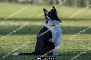 IMG_1607 (2).jpg