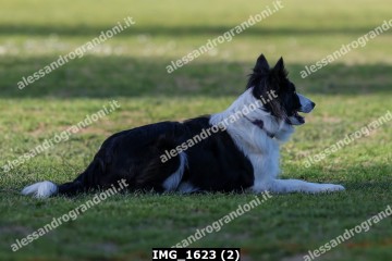IMG_1623 (2).jpg
