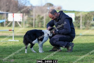 IMG_1650 (2).jpg