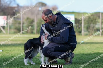 IMG_1666 (2).jpg