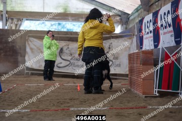496A0016.jpg