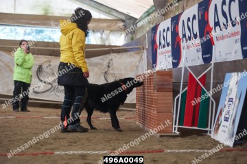 496A0049.jpg