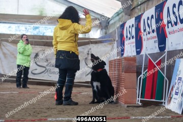 496A0051.jpg