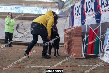 496A0057.jpg