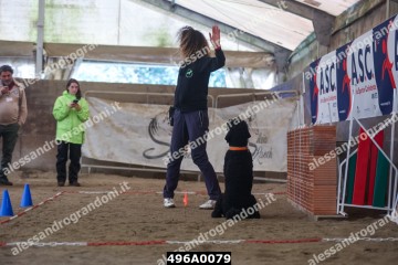 496A0079.jpg