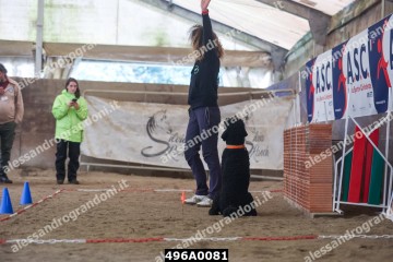 496A0081.jpg
