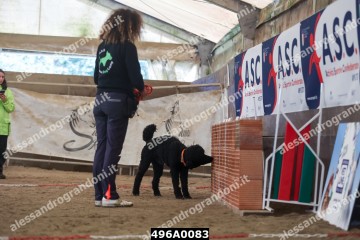 496A0083.jpg