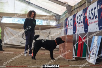 496A0094.jpg