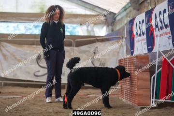 496A0096.jpg