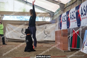 496A0100.jpg