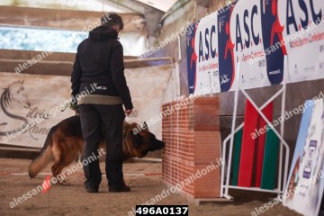 496A0137.jpg