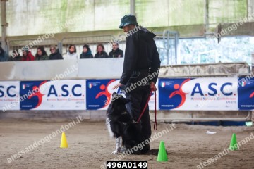 496A0149.jpg