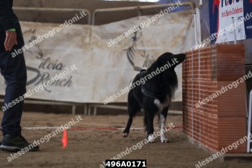 496A0171.jpg
