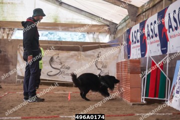 496A0174.jpg