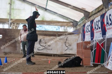 496A0184.jpg