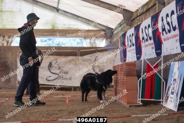 496A0187.jpg