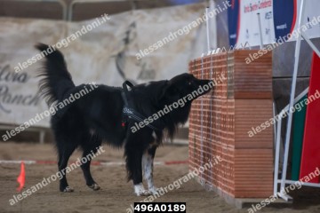 496A0189.jpg