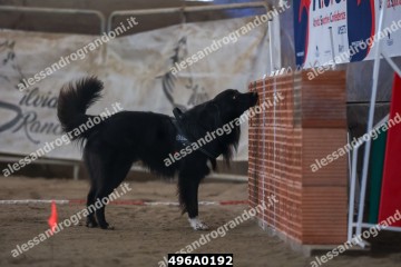 496A0192.jpg