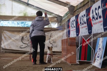 496A0271.jpg