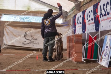 496A0309.jpg