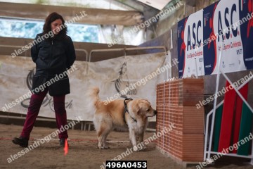 496A0453.jpg