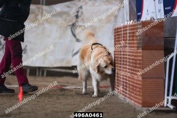 496A0461.jpg