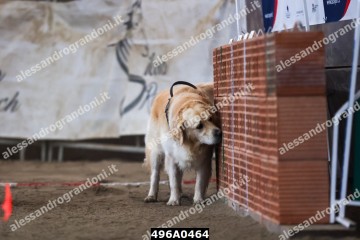 496A0464.jpg